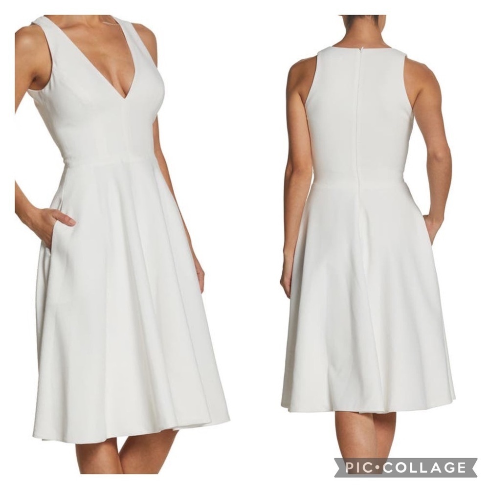 Dress the Population Catalina Fit & Flare Cocktail Dress